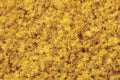 Bachmann Train 32807 Ground Cover/Yellow Straw/coarse