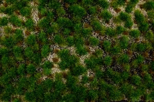 Bachmann Train 32924 Tufted Grass Mat/Gold