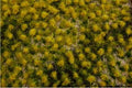 Bachmann Train 32925 Tufted Grass Mat/Dry Grass