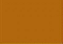 Badger 16181 MODELFLEX NH Imitation Gold