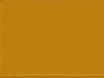 Badger 16190 MODELFLEX B&O Dulux Gold