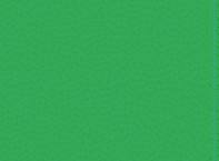 Badger 1647 MODELFLEX Light Green
