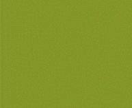 Badger 1648 MODELFLEX Weyerhauser Yellow Green
