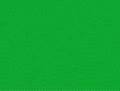 Badger 1690 MODELFLEX PC Green