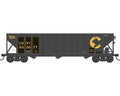 Bowser Train 43186 HO H-430 100t Hopper Chessie CSXT Paint-Out #833267