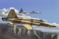 Hobby Boss Model Company 80207  F-5E TIGER II FIGHTER