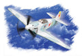 Hobby Boss Model Company 80255 YAK-3