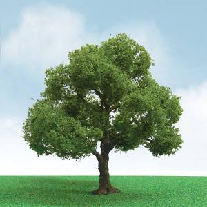 JTT JTT92204 Elder1.75 -2 elite 3/pk JTT Trees - Scenic Express