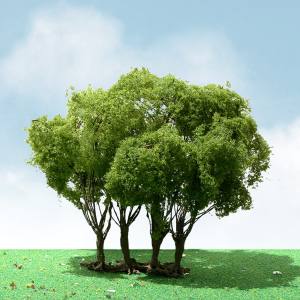 JTT Scenery Products 92403  Privet 5  Elite 1/pk