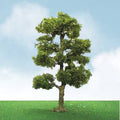JTT Scenery Products 92406 Downy Birch6  Elite1/pk
