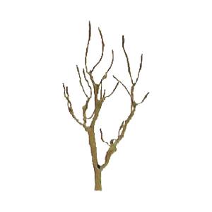 JTT JTT94106 Mountain Gum 3  Pro Armature 4/pk JTT Trees - Scenic Express