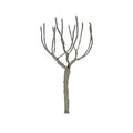 JTT JTT94109 Round Head 2.5  Pro Armature 4/pk JTT Trees - Scenic Express