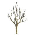 JTT JTT94110 Deciduous 1.5  Pro Armature 6/pk JTT Trees - Scenic Express