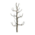 JTT Scenery Products 94118 Sycamore 2.5  Pro Armature 4/pk