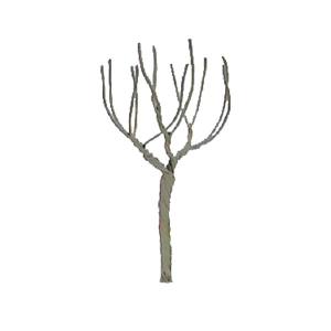 JTT JTT94121 Round Head 4  Pro Armature 3/pk JTT Trees - Scenic Express