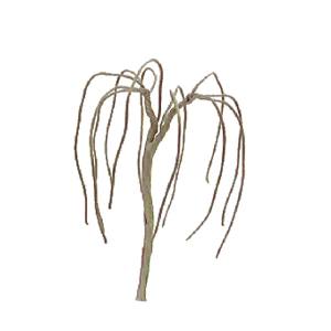 JTT JTT94123 Weeping Willow 4  Pro Armature 3/pk JTT Trees - Scenic Express