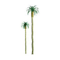 JTT Scenery Products 94234 Palm 1  Pro/6pk