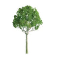 JTT JTT94249 Round Head 1.5  Pro 4/pk JTT Trees - Scenic Express