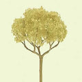 JTT JTT94321 Basswood-round Head 2  Pro 4/pk JTT Trees - Scenic Express