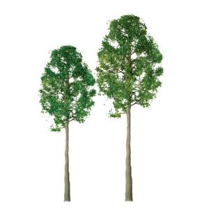 JTT JTT94335 Cypress 1.5  Pro 4/pk JTT Trees - Scenic Express