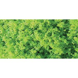 JTT JTT95104 Turf Martian Green Coarse Shaker 60cuin JTT Trees - Scenic Express