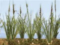 JTT Scenery Products 95633  Cattails Dried 3/4