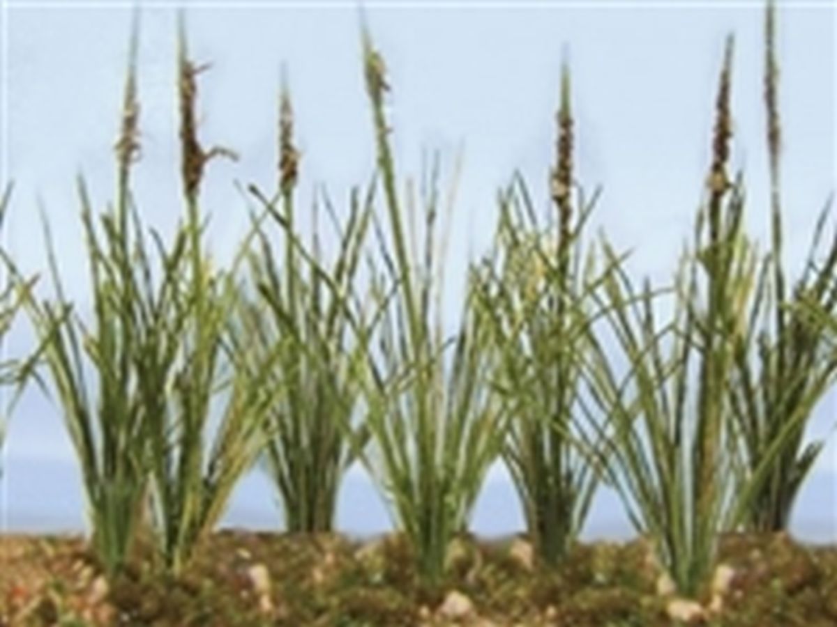JTT Scenery Products 95633  Cattails Dried 3/4