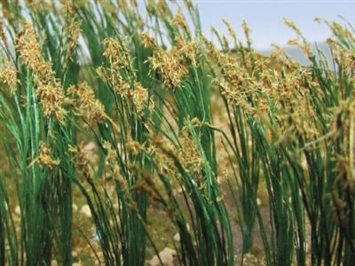 JTT Scenery Products 95635  Reeds 2