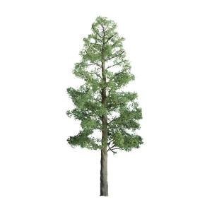 JTT Scenery Products 96104 Pine 16  Pro 1/pk