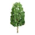 JTT Scenery Products 96107 SYCAMORE 12  PRO 1/pk