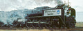 MTH MTH2039701 O O UP FEF 4-8-4 Steam Loco #844 Worlds Fair/Oil/3.0