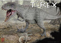 Pegasus Model 9551 Tyranasaurous Rex