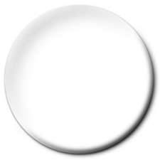 Testors Paint 2920 Classic White Spray