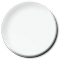 Testors Paint 4873 Reefer White Flat Replaces F414113