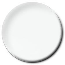 Testors Paint 4873 Reefer White Flat Replaces F414113