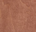 Testors Paint 79401 CreateFX Walnut Wash