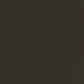 Tru-Color Paint 145 NP 47 Passenger Dark Green 1oz