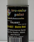 Tru-Color Paint 4027 Matte Mud Spray 4.5oz