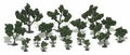 Woodland Scenics 1111 Realistic Tree Kits 3/4 -3
