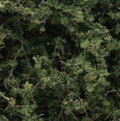 Woodland Scenics 1131 Fine-Leaf Foliage/Medium Green