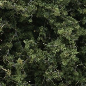 Woodland Scenics 1131 Fine-Leaf Foliage/Medium Green
