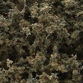Woodland Scenics 1134 Fine-Leaf Foliage/Dead