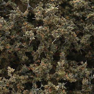 Woodland Scenics 1134 Fine-Leaf Foliage/Dead