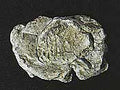Woodland Scenics 1237 Wind Rock rock mold 5 x 7