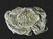 Woodland Scenics 1237 Wind Rock rock mold 5 x 7