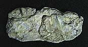 Woodland Scenics 1242 Washed Rock rock mold 10.5 x 5