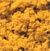 Woodland Scenics 1353 Shaker Turf/Fall Yellow coarse