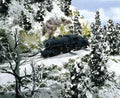 Woodland Scenics 140 Shaker/Soft Flake Snow