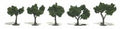 Woodland Scenics 1502 Trees 1 1/4 -2  Medium Green