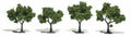 Woodland Scenics 1503 Trees 2 -3  Light Green